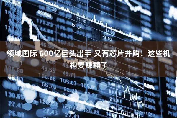 领域国际 600亿巨头出手 又有芯片并购！这些机构要赚翻了