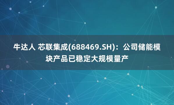 牛达人 芯联集成(688469.SH)：公司储能模块产品已稳定大规模量产