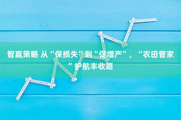 智赢策略 从“保损失”到“促增产”，“农田管家”护航丰收路