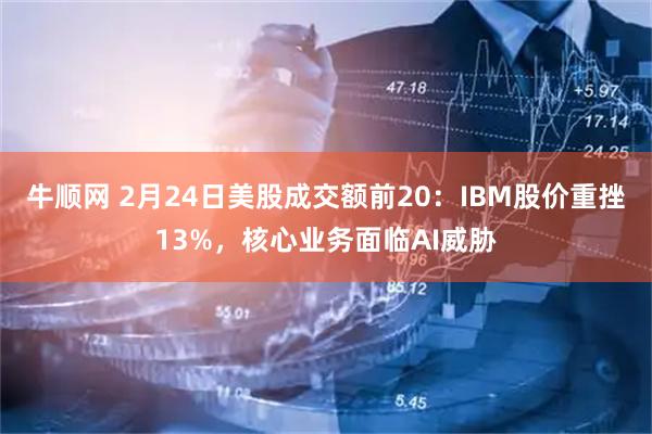 牛顺网 2月24日美股成交额前20：IBM股价重挫13%，核心业务面临AI威胁