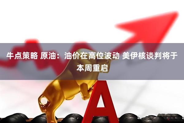 牛点策略 原油：油价在高位波动 美伊核谈判将于本周重启
