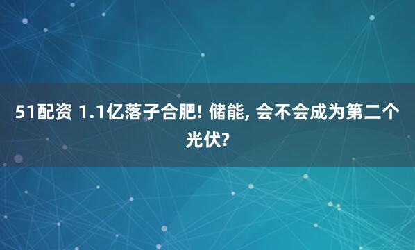51配资 1.1亿落子合肥! 储能, 会不会成为第二个光伏?