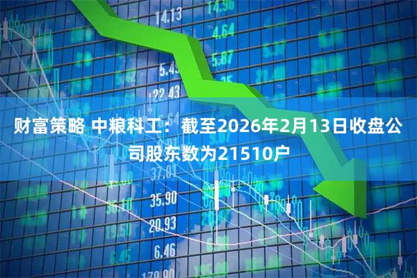 财富策略 中粮科工：截至2026年2月13日收盘公司股东数为21510户